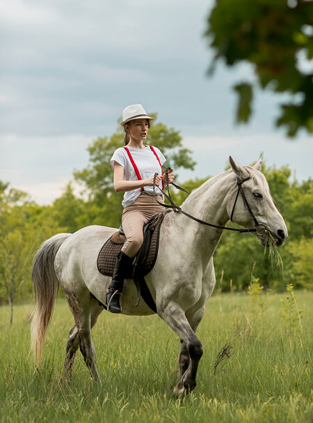 Jumping & Dressage Clinic
