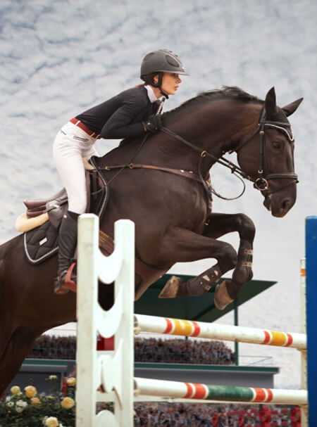 Trail Riding Adventure