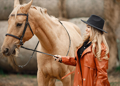Preparing Your Horse for Competition: Essential Tips