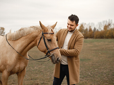 Riding School Begins Our Riding Classes & Trainings