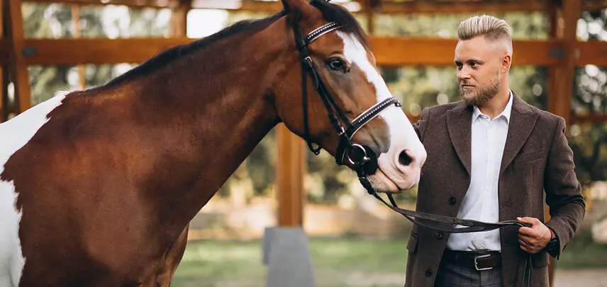 All the Greatest Moments of Thoroughbred